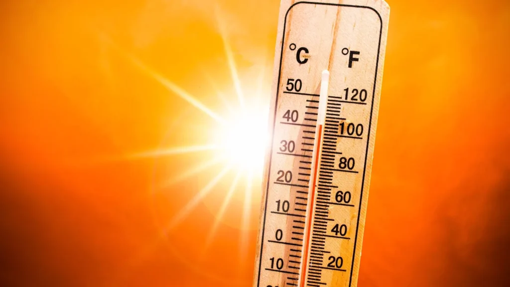 Florida Heat Protection Bill Details