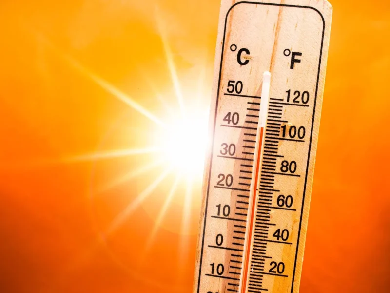 Florida Heat Protection Bill Details